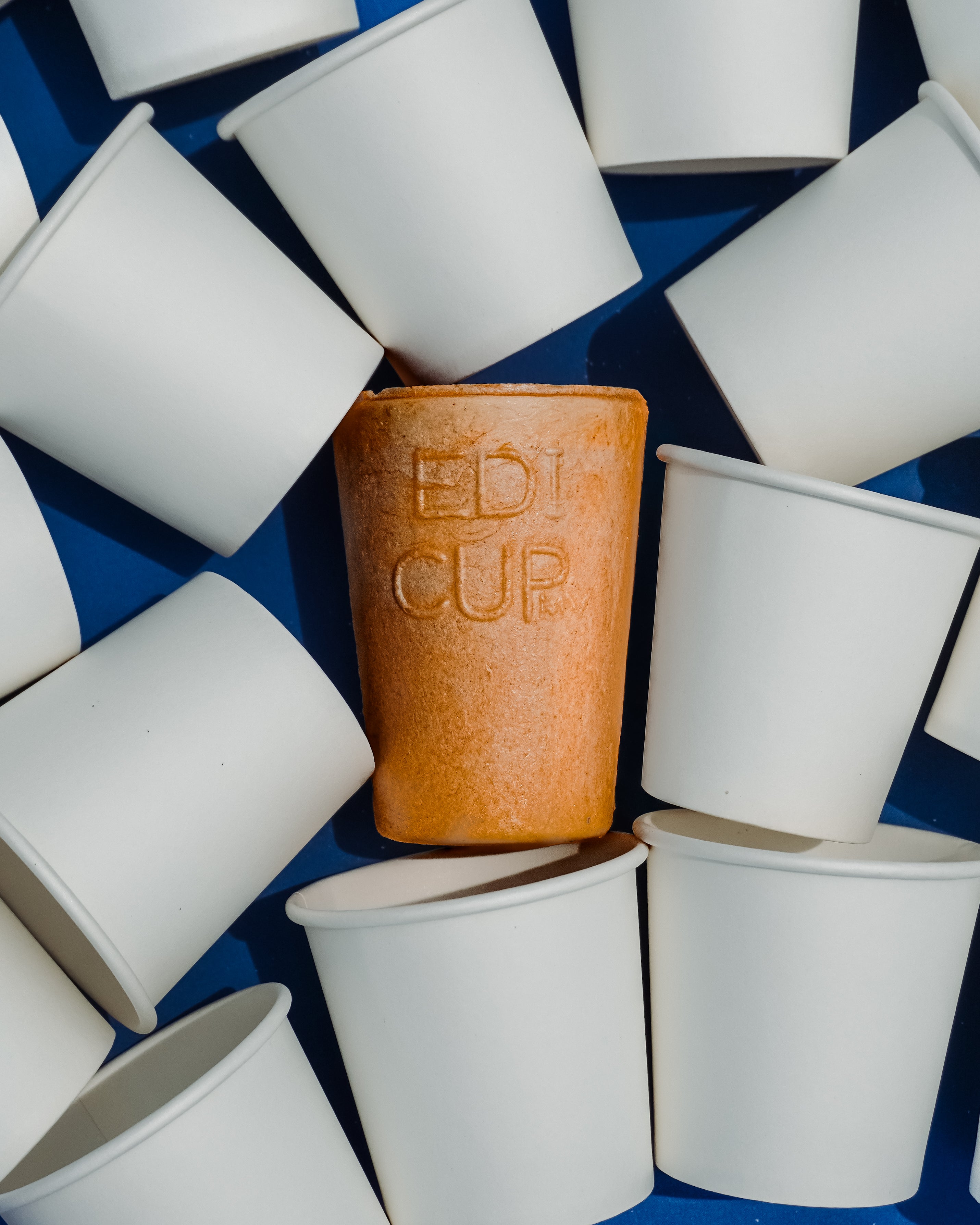 Family Pack - 15 Cups
